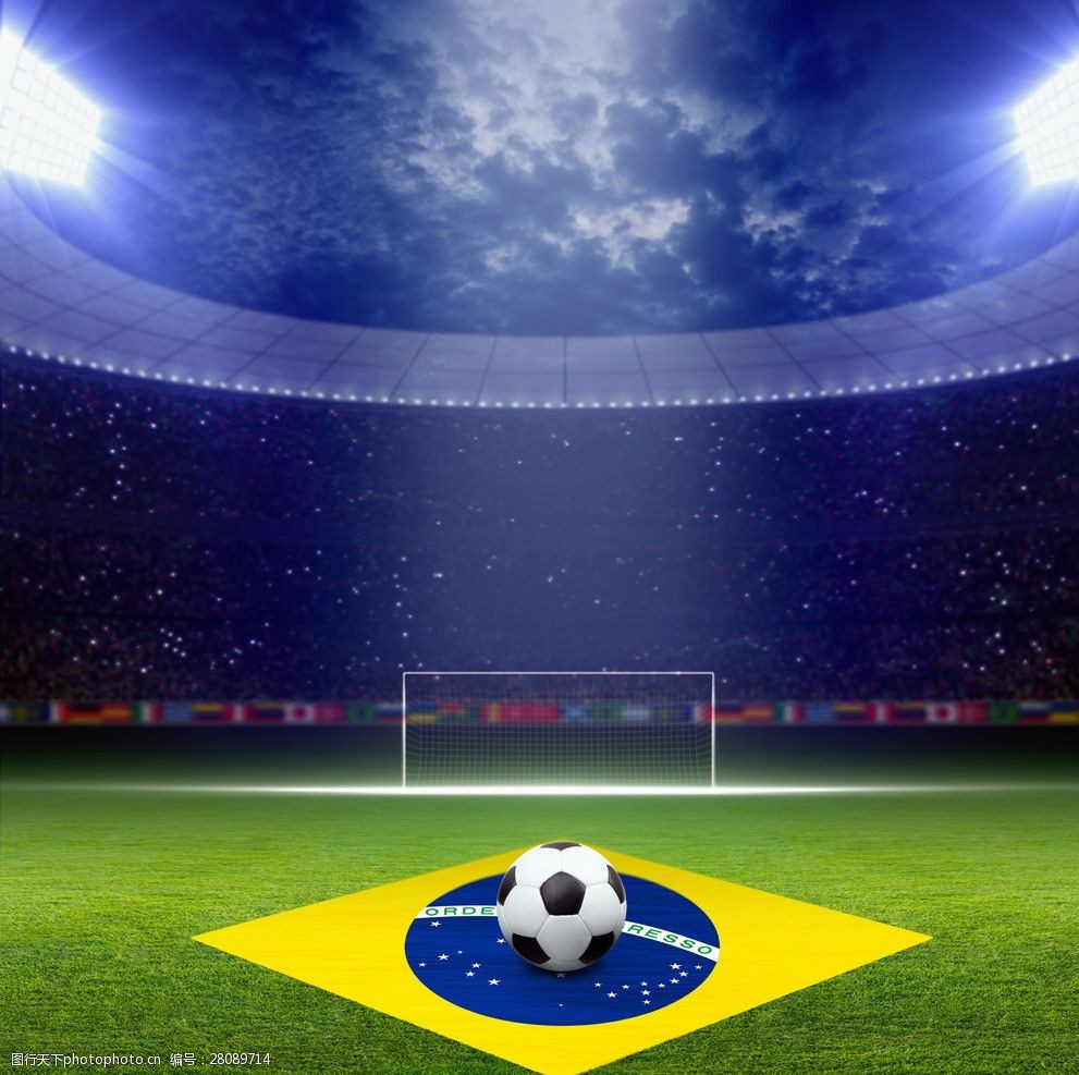 数据统计显 数据统计显