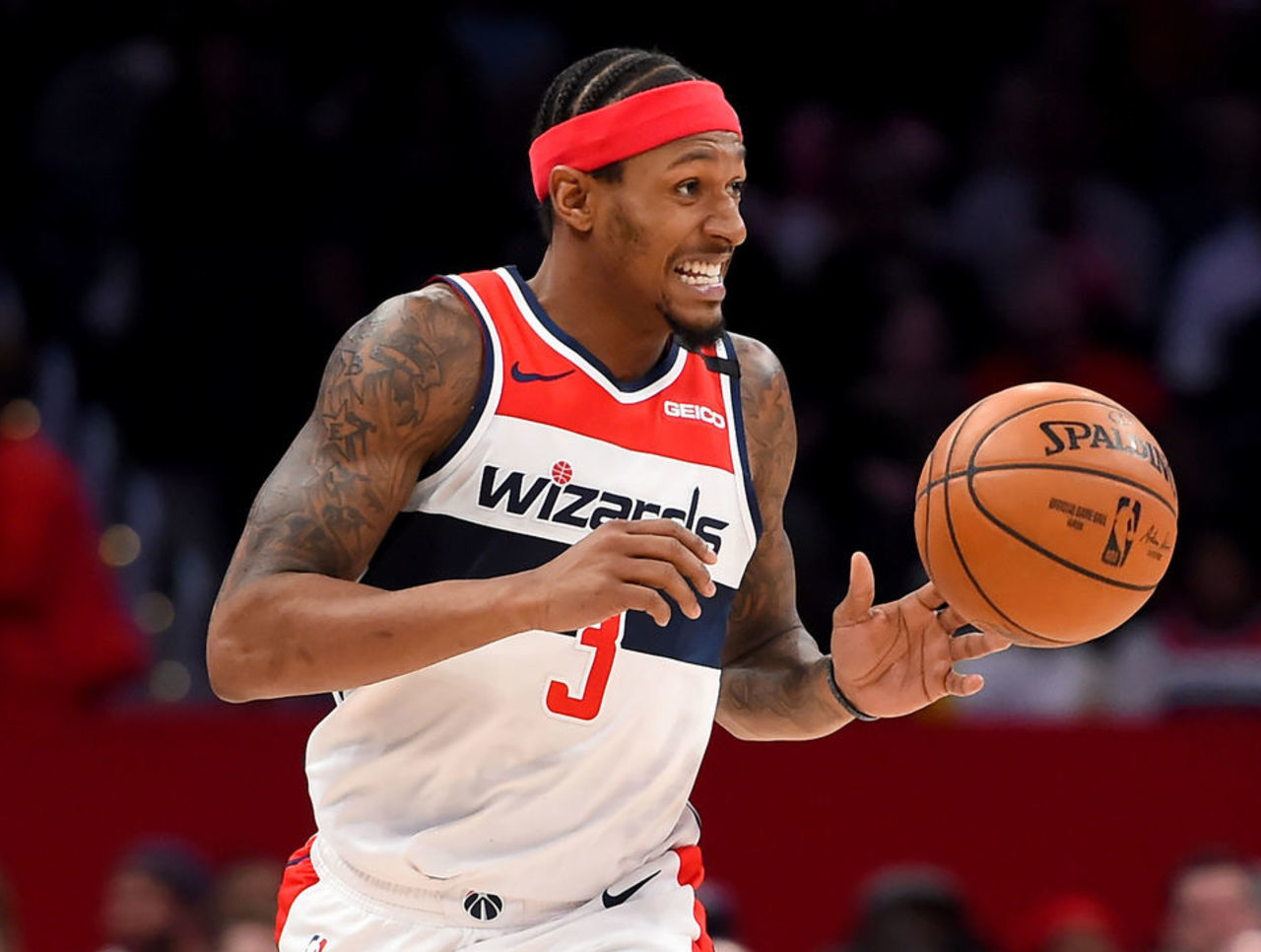 森林狼的小 森林狼的小