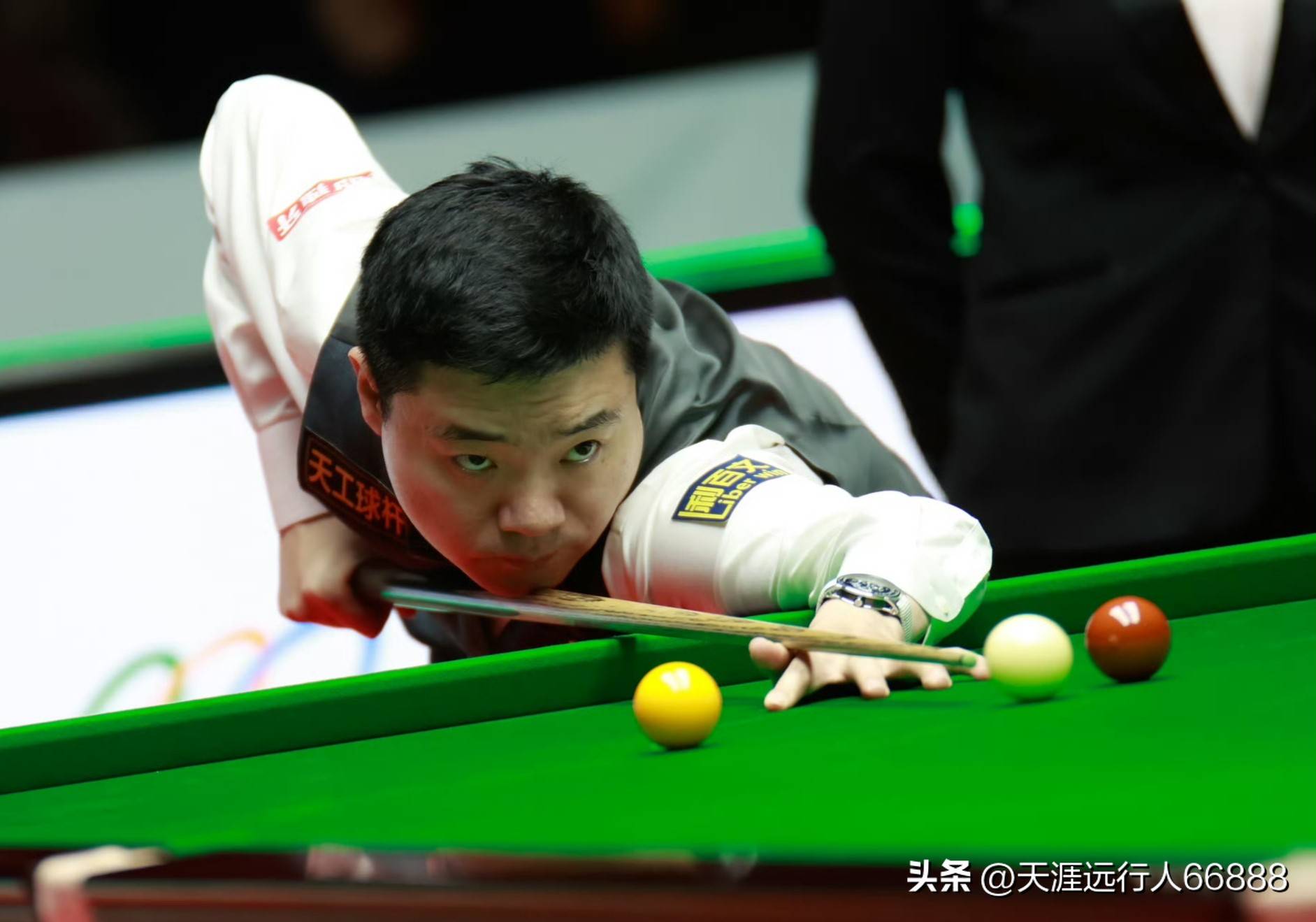 游泳世界杯 游泳世界杯