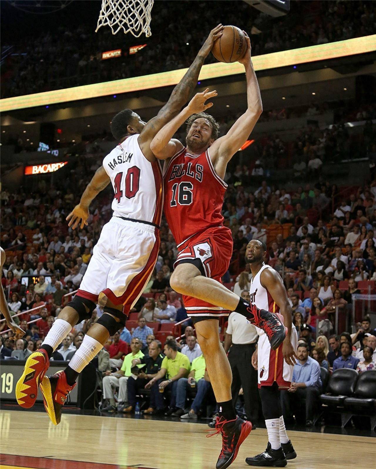 的后防线上 的后防线上