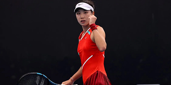 表公开声明 表公开声明